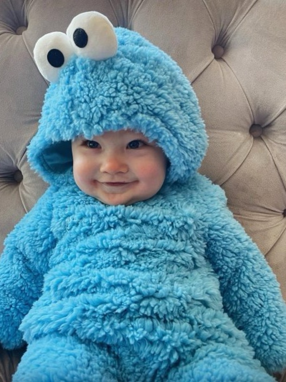 Pottery Barn kids - Cookie Monster